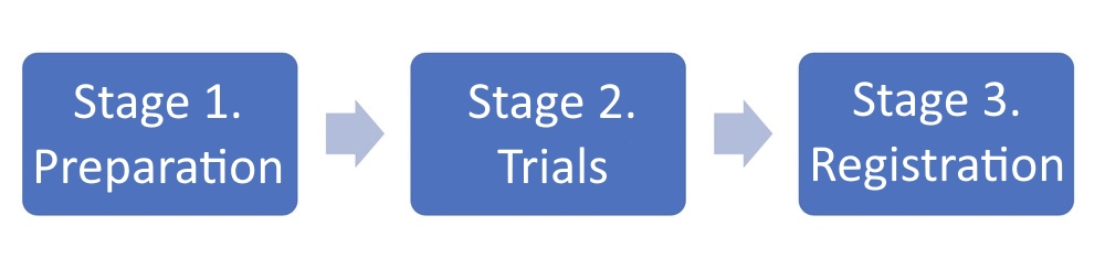 Software registration process